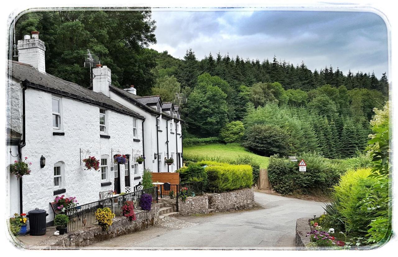 River Cottage Сент-Асаф Екстер'єр фото