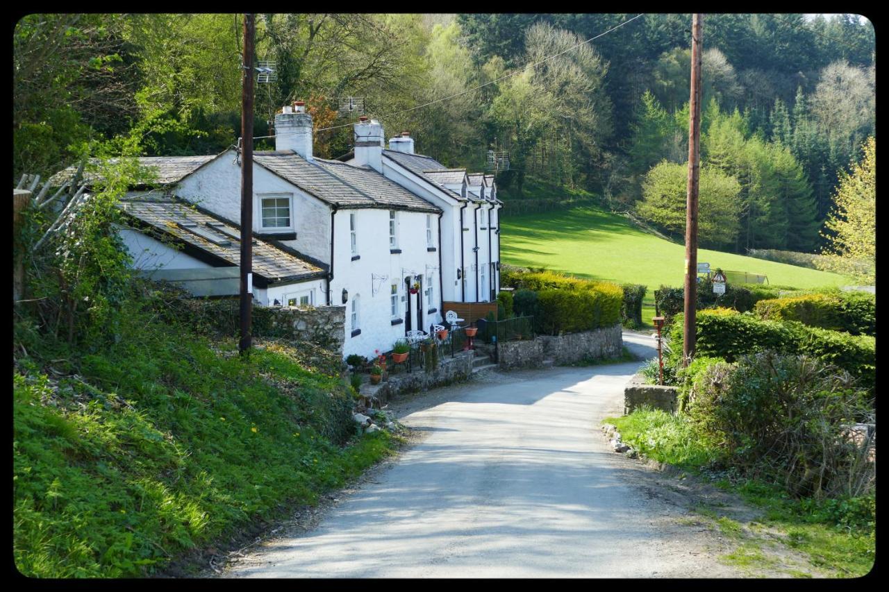 River Cottage Сент-Асаф Екстер'єр фото